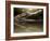 Croc-Fahmi Bhs-Framed Photographic Print