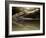 Croc-Fahmi Bhs-Framed Photographic Print