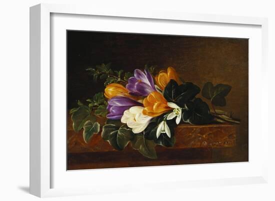 Crocii and Snowdrops on a Marble Ledge-Johan Laurentz Jensen-Framed Giclee Print