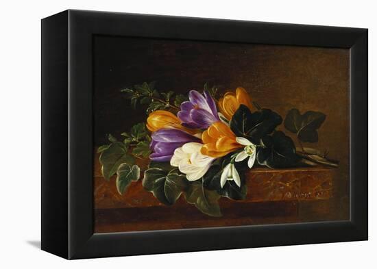 Crocii and Snowdrops on a Marble Ledge-Johan Laurentz Jensen-Framed Premier Image Canvas