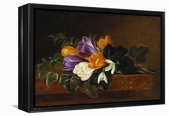 Crocii and Snowdrops on a Marble Ledge-Johan Laurentz Jensen-Framed Premier Image Canvas