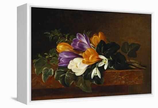 Crocii and Snowdrops on a Marble Ledge-Johan Laurentz Jensen-Framed Premier Image Canvas