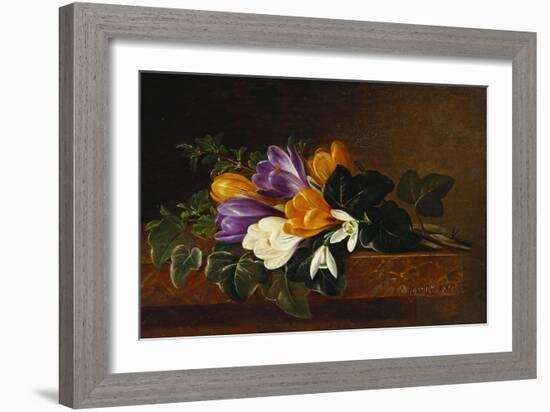 Crocii and Snowdrops on a Marble Ledge-Johan Laurentz Jensen-Framed Giclee Print