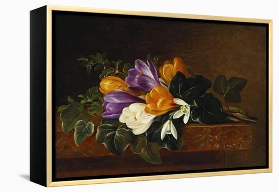 Crocii and Snowdrops on a Marble Ledge-Johan Laurentz Jensen-Framed Premier Image Canvas