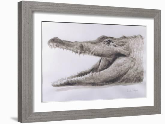 Crocodile, 2005-Lincoln Seligman-Framed Giclee Print