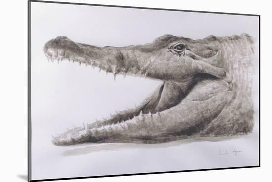 Crocodile, 2005-Lincoln Seligman-Mounted Giclee Print