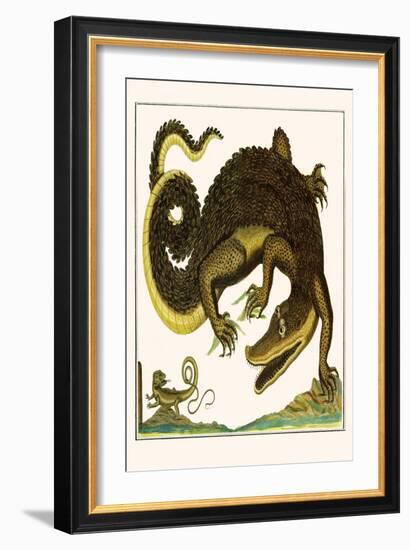 Crocodile and Lizard-Albertus Seba-Framed Art Print