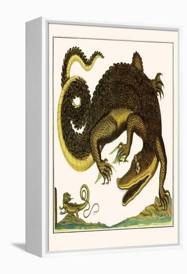 Crocodile and Lizard-Albertus Seba-Framed Stretched Canvas