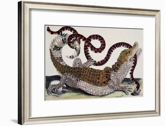 Crocodile and Snake-Maria Sibylla Merian-Framed Giclee Print