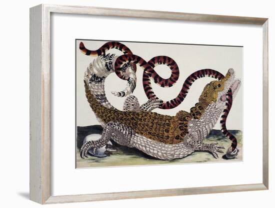 Crocodile and Snake-Maria Sibylla Merian-Framed Giclee Print