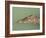 Crocodile, Black River, St. Elizabeth, Jamaica, West Indies, Central America-Sergio Pitamitz-Framed Photographic Print