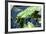 Crocodile - Everglades National Park - Unesco World Heritage Site - Florida - USA-Philippe Hugonnard-Framed Photographic Print