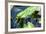 Crocodile - Everglades National Park - Unesco World Heritage Site - Florida - USA-Philippe Hugonnard-Framed Photographic Print