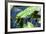 Crocodile - Everglades National Park - Unesco World Heritage Site - Florida - USA-Philippe Hugonnard-Framed Photographic Print