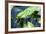 Crocodile - Everglades National Park - Unesco World Heritage Site - Florida - USA-Philippe Hugonnard-Framed Photographic Print