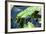 Crocodile - Everglades National Park - Unesco World Heritage Site - Florida - USA-Philippe Hugonnard-Framed Photographic Print