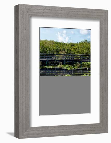 Crocodile - Everglades National Park - Unesco World Heritage Site - Florida - USA-Philippe Hugonnard-Framed Photographic Print