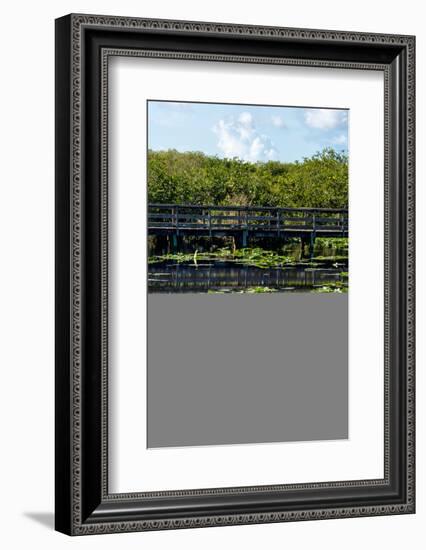 Crocodile - Everglades National Park - Unesco World Heritage Site - Florida - USA-Philippe Hugonnard-Framed Photographic Print