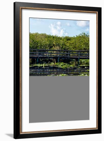 Crocodile - Everglades National Park - Unesco World Heritage Site - Florida - USA-Philippe Hugonnard-Framed Photographic Print