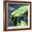 Crocodile - Everglades National Park - Unesco World Heritage Site - Florida - USA-Philippe Hugonnard-Framed Photographic Print