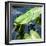 Crocodile - Everglades National Park - Unesco World Heritage Site - Florida - USA-Philippe Hugonnard-Framed Photographic Print