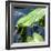 Crocodile - Everglades National Park - Unesco World Heritage Site - Florida - USA-Philippe Hugonnard-Framed Photographic Print