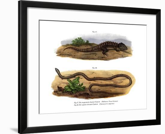 Crocodile Skink-null-Framed Giclee Print