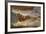 Crocodile-DLILLC-Framed Photographic Print