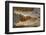 Crocodile-DLILLC-Framed Photographic Print