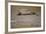 Crocodile-DLILLC-Framed Photographic Print