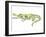 Crocodile-Louise Tate-Framed Giclee Print