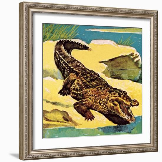 Crocodile-English School-Framed Giclee Print