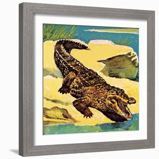 Crocodile-English School-Framed Giclee Print