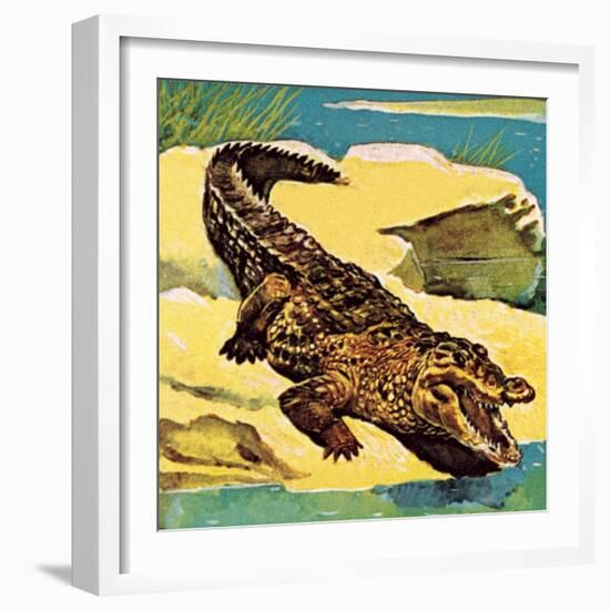 Crocodile-English School-Framed Giclee Print