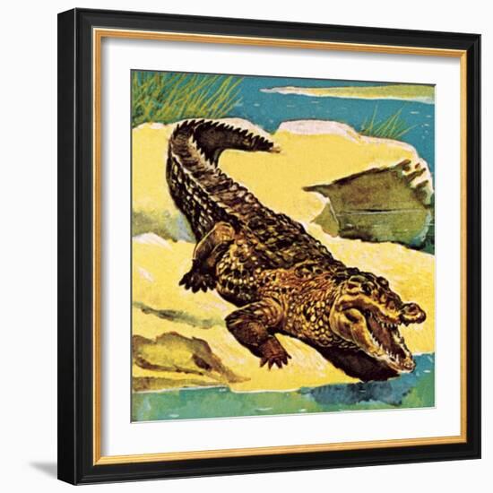 Crocodile-English School-Framed Giclee Print