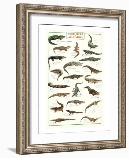 Crocodiles and Alligators--Framed Art Print