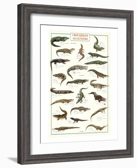Crocodiles and Alligators--Framed Art Print