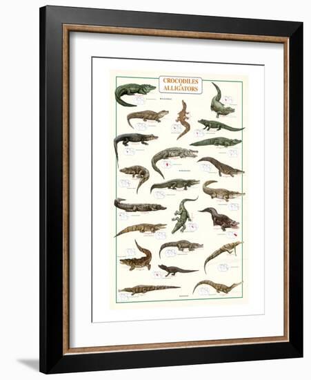 Crocodiles and Alligators-null-Framed Art Print