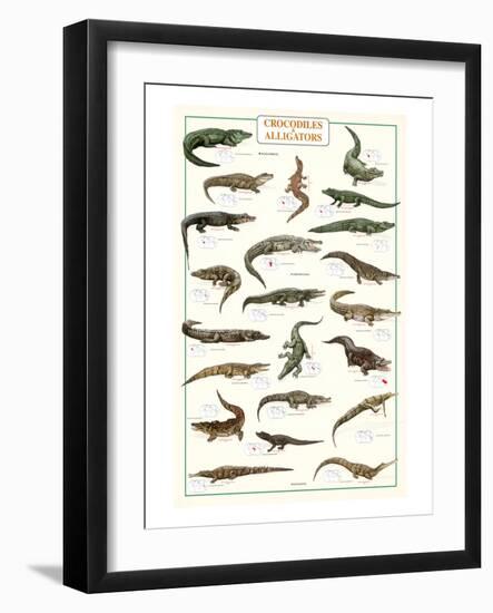 Crocodiles and Alligators-null-Framed Art Print