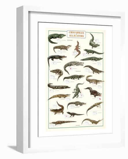 Crocodiles and Alligators-null-Framed Art Print