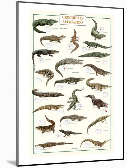 Crocodiles and Alligators-null-Mounted Art Print