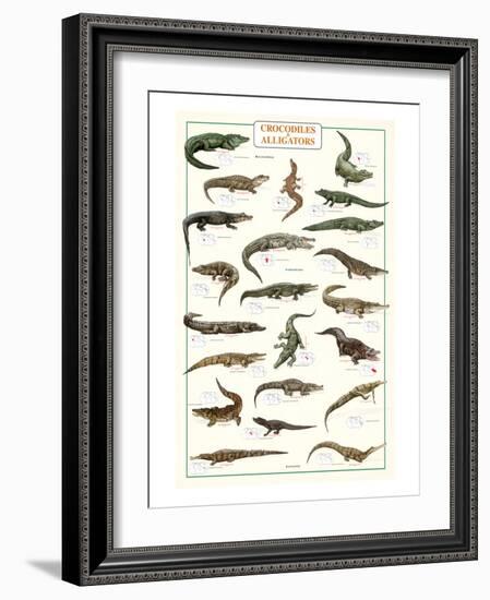 Crocodiles and Alligators-null-Framed Art Print