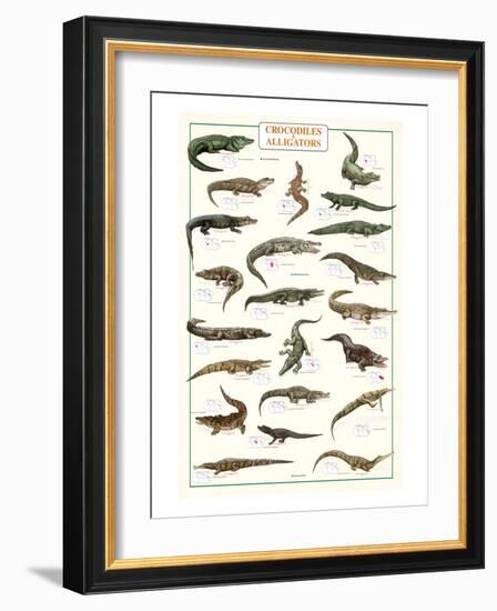 Crocodiles and Alligators-null-Framed Art Print