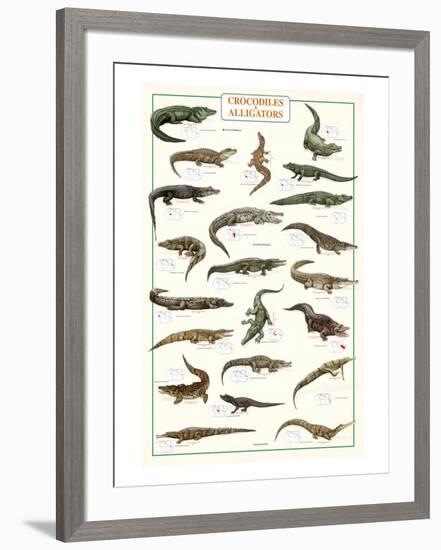 Crocodiles and Alligators-null-Framed Art Print