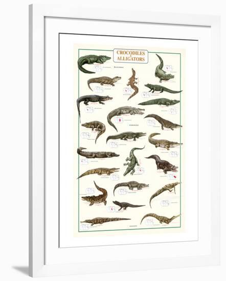 Crocodiles and Alligators--Framed Art Print