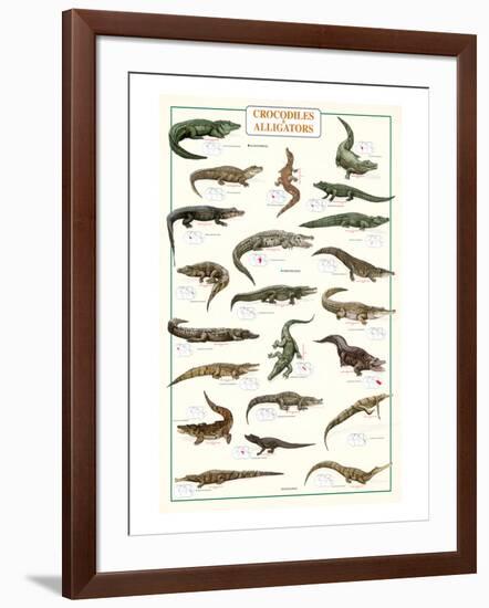 Crocodiles and Alligators-null-Framed Art Print