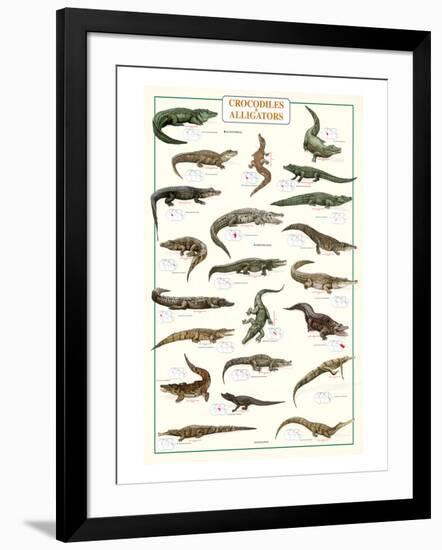 Crocodiles and Alligators--Framed Art Print