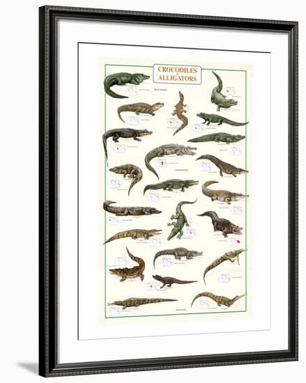 Crocodiles and Alligators-null-Framed Art Print