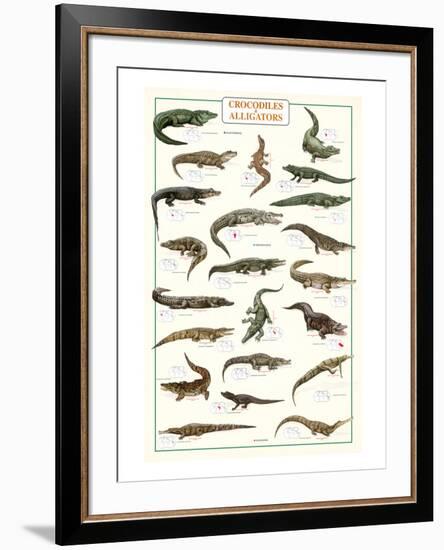 Crocodiles and Alligators-null-Framed Art Print