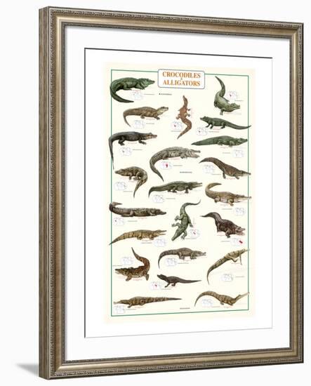 Crocodiles and Alligators-null-Framed Art Print